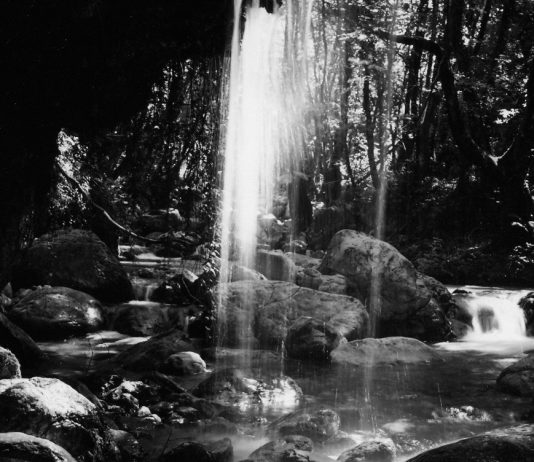 Gaetano Plasmati – Il Pollino. Montagna incantata