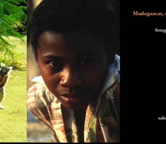 Gaetano Plasmati / Alfredo Biscardi – Immagini dall’Africa