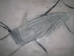 Laurence Courto – Affioramenti