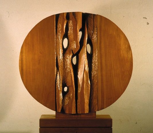 Loreno Sguanci – Trama di legni