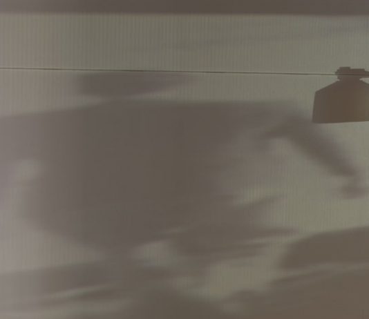 Loris Gréaud – Illusion is a revolutionary weapon Loris Gréaud – Illusion is a revolutionary weapon