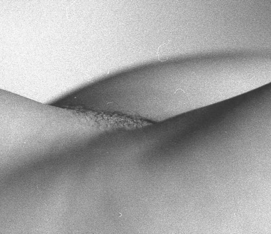 Lucia Del Moro – Al Femminile