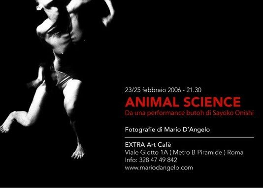 Mario D’Angelo – Animal Science
