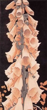 Martin van Vreden – PrIde