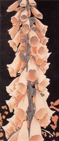 Martin van Vreden – PrIdehttps://www.exibart.com/repository/media/eventi/2005/04/martin-van-vreden-8211-pride.jpg