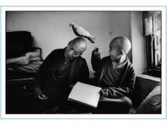 Martine Franck – I Tulkus del Tibet. La reincarnazione dei grandi Lama