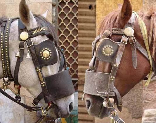 Moataz Nasr – Entrapment Moataz Nasr – Entrapment