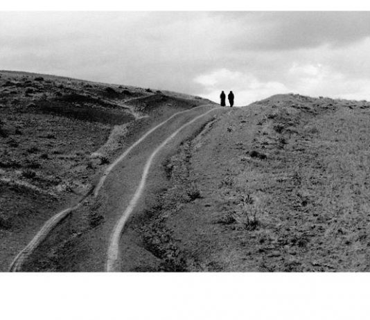 On the Roads of Kiarostami