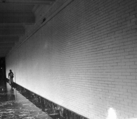 Paesaggio della mente