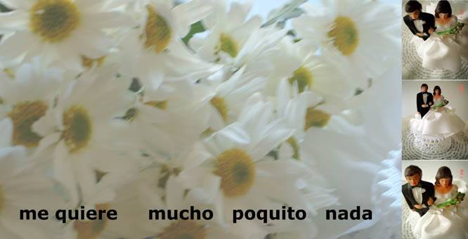 Paolo Angelosanto – Me quiere mucho pochito nadahttps://www.exibart.com/repository/media/eventi/2005/04/paolo-angelosanto-8211-me-quiere-mucho-pochito-nada.jpg