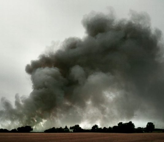 People | Things | Animals | Landscapes