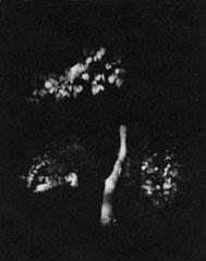 Pietro Bologna – Studio per “Di bianco silenzio”