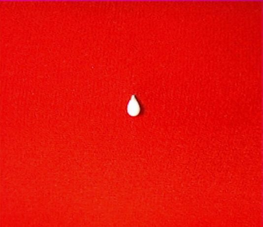 Regina Hubner – Zeit