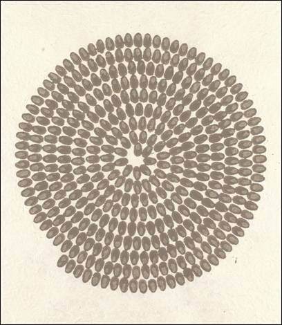 Richard Longhttps://www.exibart.com/repository/media/eventi/2005/04/richard-long.jpg