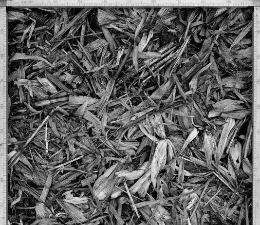 Saverio Lombardi Vallauri – Metroquadro Saverio Lombardi Vallauri – Metroquadro