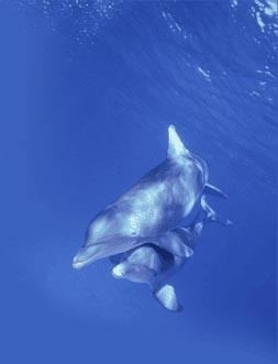 Stefano Marangon – Ecliografando a Stresa Stefano Marangon – Ecliografando a Stresa