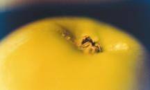 Stefano Sciarrillo – Insolita quotidianità Stefano Sciarrillo – Insolita quotidianità