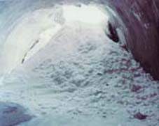 Thomas Flechtner – Silent Walk