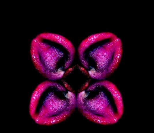 Ultracorpi – Marco Michelini Ultracorpi – Marco Michelini