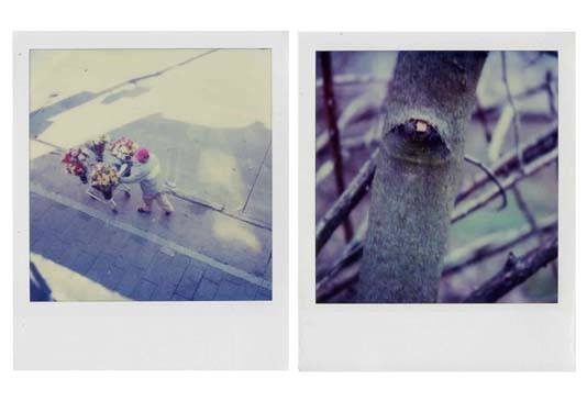 Un Critico incontra un Fotografo – Lia Pari Un Critico incontra un Fotografo – Lia Pari