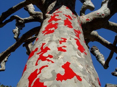 Yuki Nakamura / Miyuki Yokomizo – NacJapan