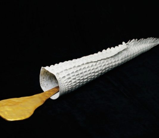 Academici. Tendenze dell’arte contemporanea in Australia, 1999-2004