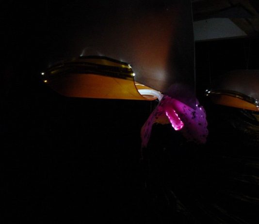 Aliki – Zafferano o spezie