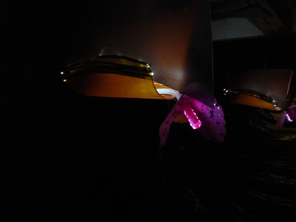 Aliki – Zafferano o speziehttps://www.exibart.com/repository/media/eventi/2005/05/aliki-8211-zafferano-o-spezie.jpg