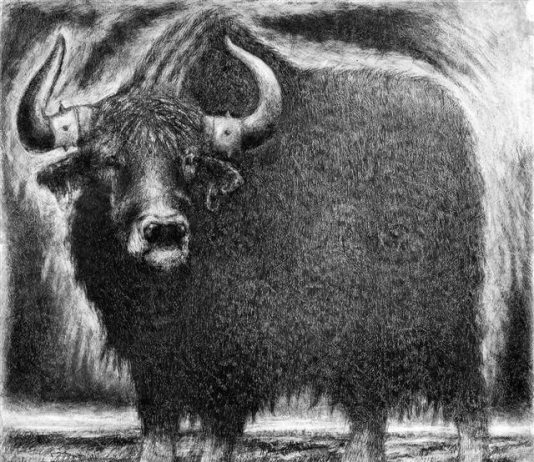 Bestiario contemporaneo