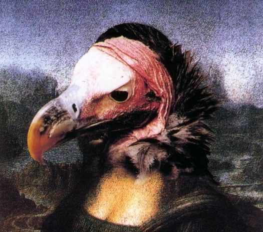 Conversazione con l’artista – Vettor Pisani