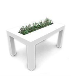 Dorothy Gray – Disabitare