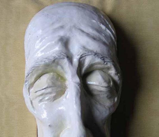 Edward Carey – Illustrating and writing fairy tales