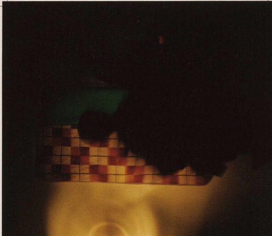 Franco Vaccari – Incubazione II Franco Vaccari – Incubazione II