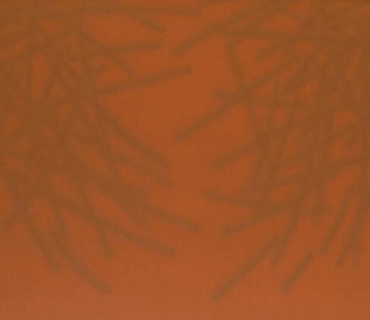 Gianni Pellegrini – Al limite dell’ombra