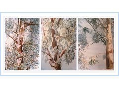 Giovanni Pisano – Opere 1950-2005