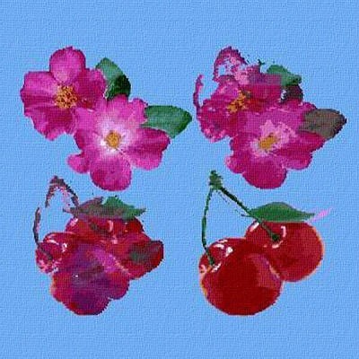 Guido Corazziari – Coldrink