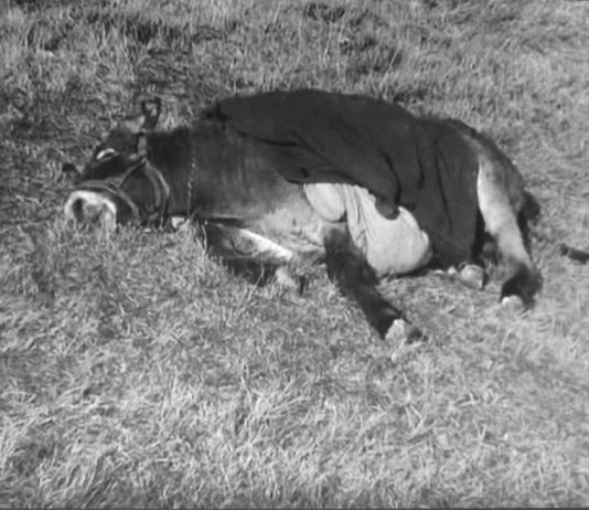 Induzione critica #2