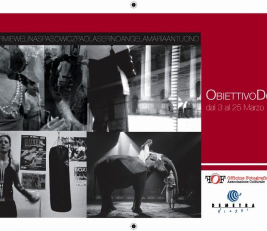 Laura Cirmi / Ewelina Spasowicz Laura Cirmi / Ewelina Spasowicz