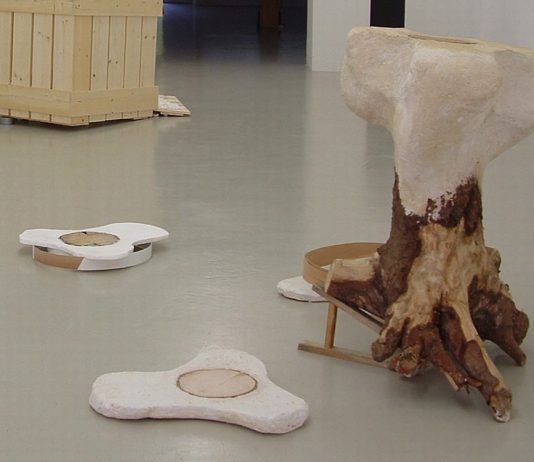 Luca Trevisani – Pochi anni a testa