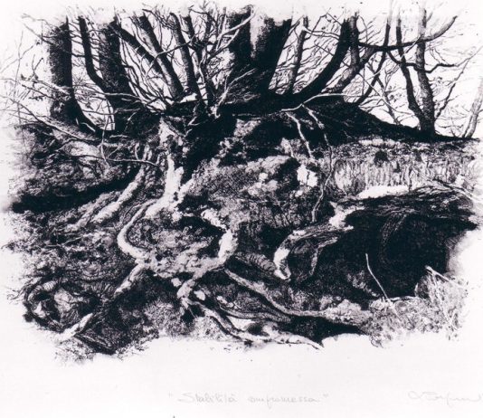 Luisa Porporato – Dettagli e Modulazioni