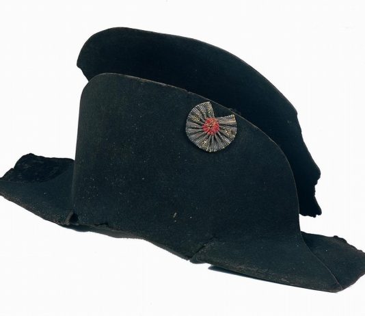 L’isola dell’imperatore. Le dimore di Napoleone. Da Residenze a Museo