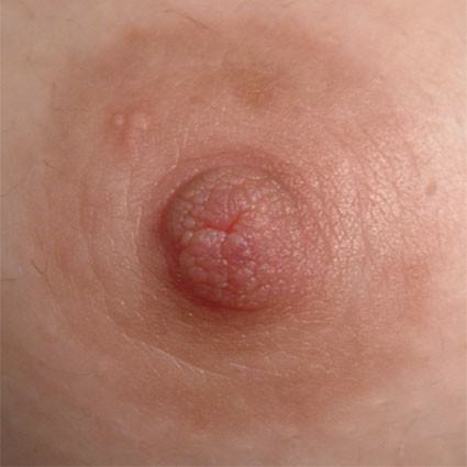 Manuela Mancioppi – MettinMostra. Action in progress