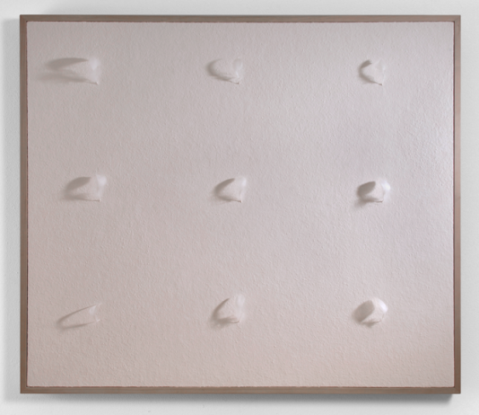 Marcello Borioni –  Luminosità della materia curata