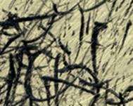 Massimo Luccioli – Elaborazioni Sonore nel Segno Massimo Luccioli – Elaborazioni Sonore nel Segno