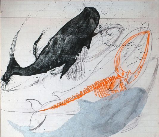 Nicola Salvatore – Tecniche miste per il deserto