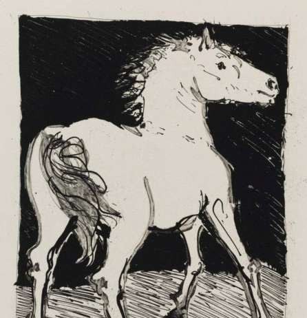 Picasso illustratore