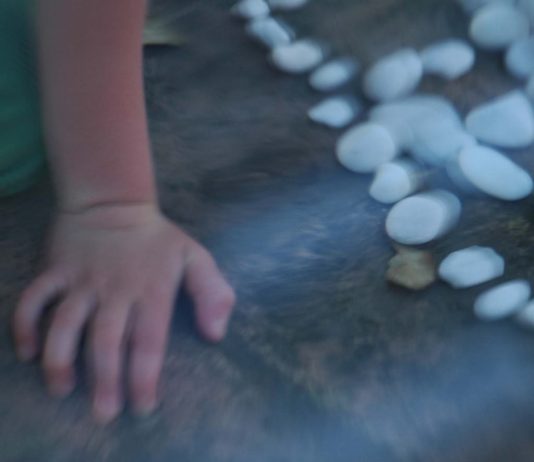 Pietro Bertora – Sassi