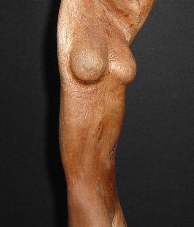 Quindici morsi d’Arte – Antonino Triolo