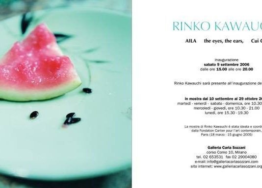 Rinko Kawauchi – Aila