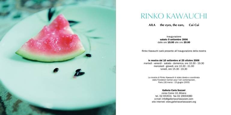 Rinko Kawauchi – Ailahttps://www.exibart.com/repository/media/eventi/2005/05/rinko-kawauchi-8211-aila.jpg